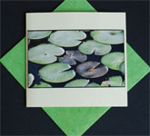 Photo cards - flowers