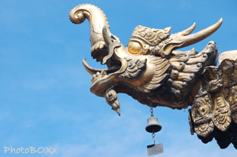 Charms - dragon