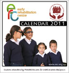 Custom calendar - ERC