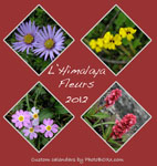 Custom calendar - Fleur